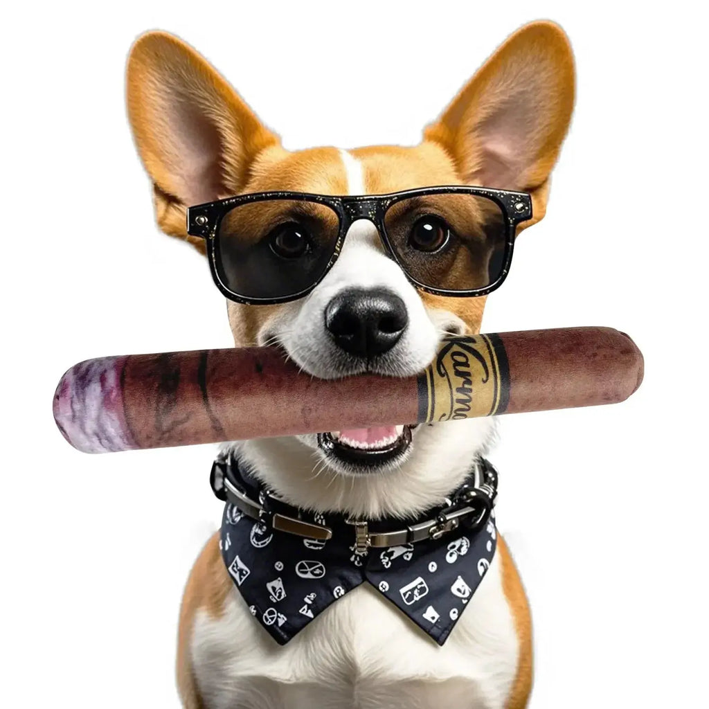 Funny Dog Toy with Interactive Squeaky Sound and Plush Cotton Happy Pets