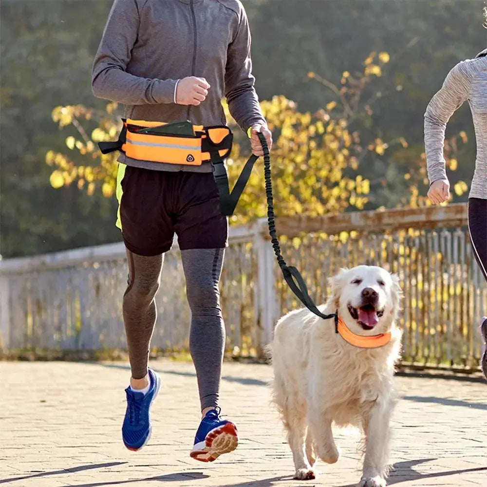 Hands Free Dog Leash for Running and Walking Reflective Leash with Waist Bag Happy Pets