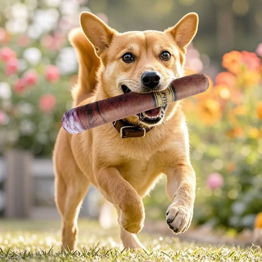 Funny Dog Toy with Interactive Squeaky Sound and Plush Cotton Happy Pets